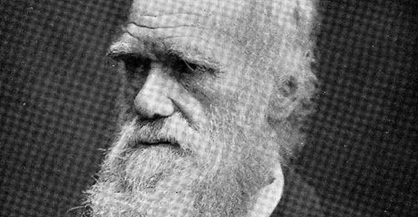 Darwin y la religión: 3 claves para entender su postura